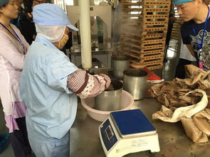 當(dāng)高科技制茶機(jī)遇上傳統(tǒng)石磨 祥源易武工廠的文化體驗(yàn)之旅